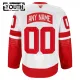 Fanatics Detroit Red Wings Lasten Pelipaita 2024-2025 Premium Stadium Series Valkoinen ( Omalla Nimellä )